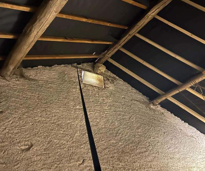 Désinsectisation de guêpes Allier