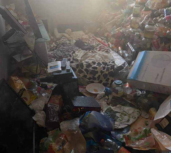 Traitement de tout type de blatte