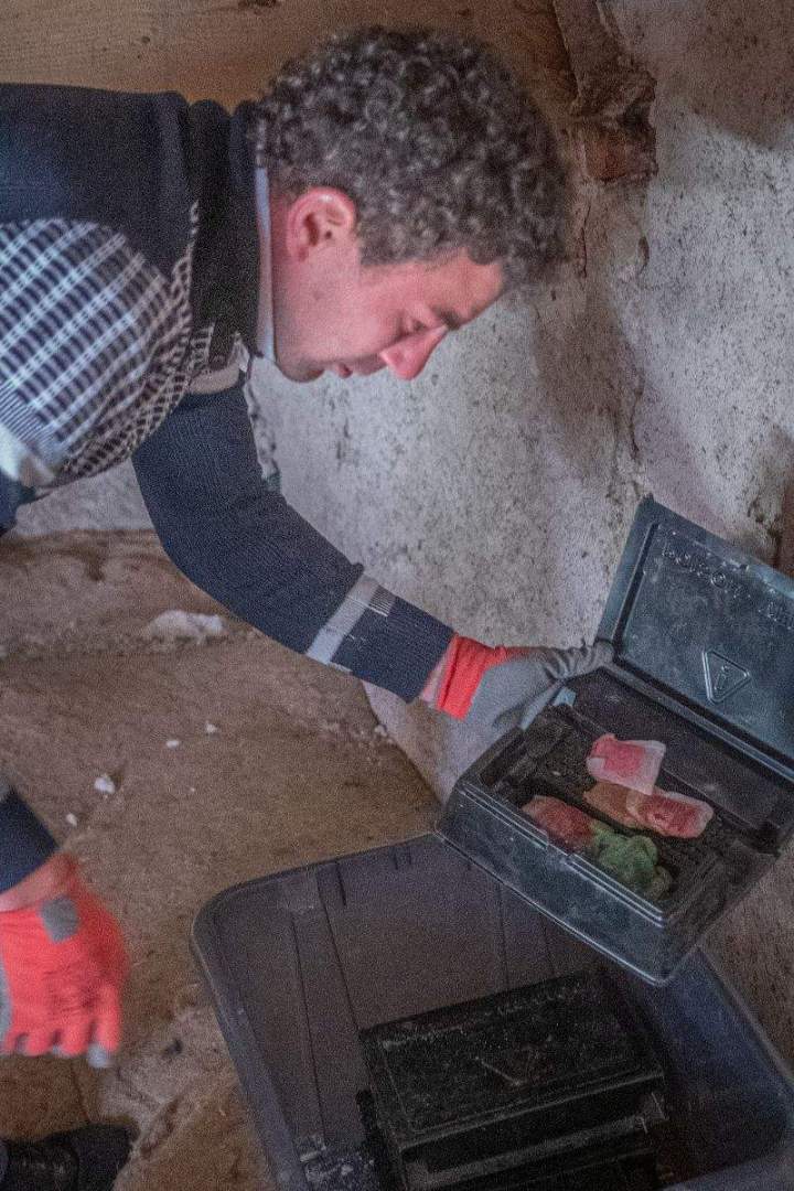 Désinsectisation de blattes Allier