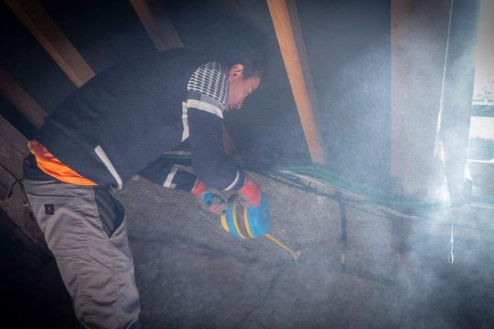 Désinsectisation de cafards Allier