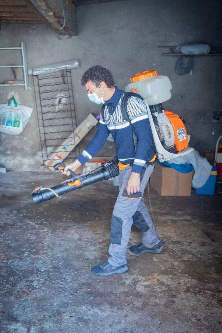 Désinsectisation puces de parquet et punaises de lit Allier