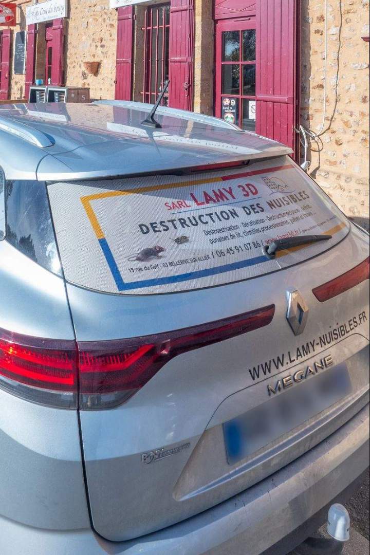 Élimination de puces de parquet et punaises de lit Allier