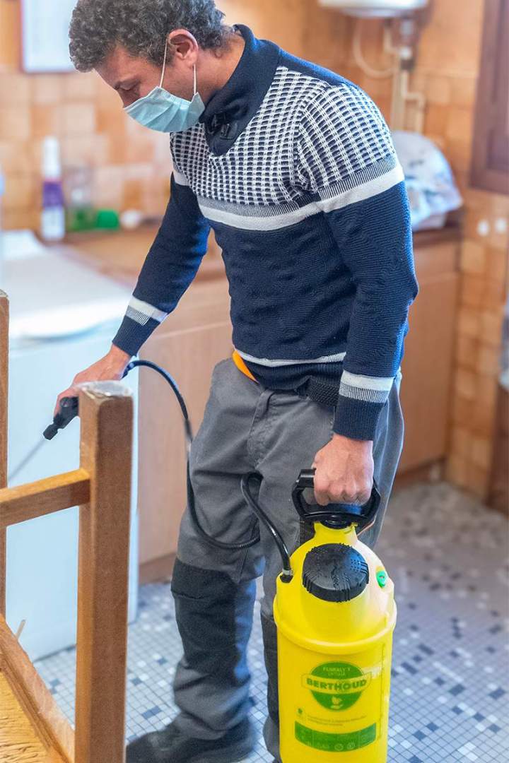 Désinsectisation puces de parquet et punaises de lit Allier