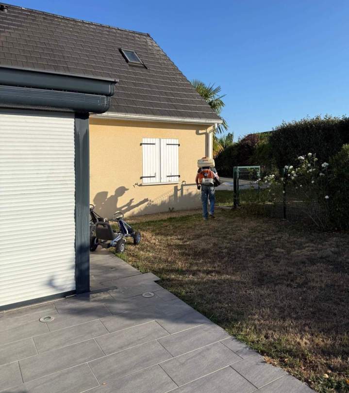Élimination de puces de parquet et punaises de lit Allier