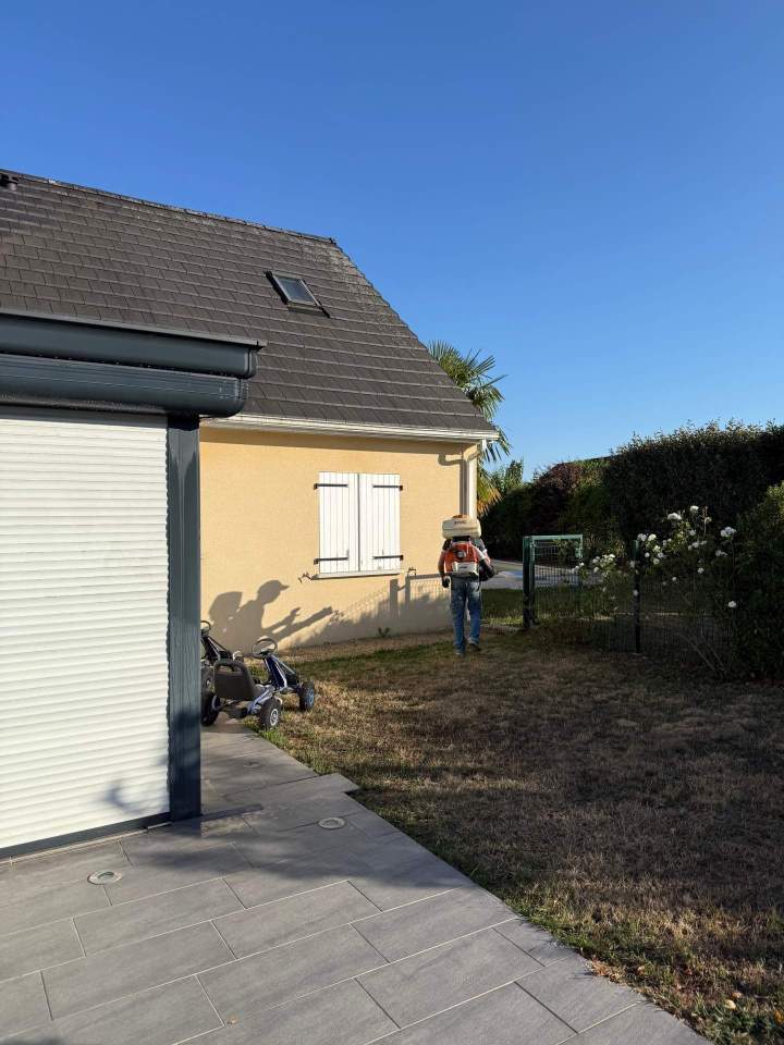 Solution efficace pour se débarrasser des puces et des punaises